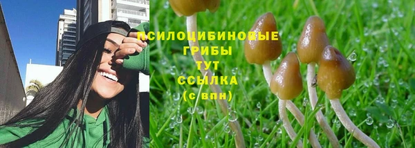 спиды Алексеевка