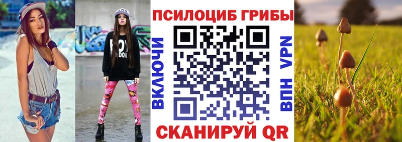 Галлюциногенные грибы ЛСД  ОМГ ОМГ вход  Дудинка  купить закладку 